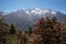 Mt Taboche and rhododendron flowers in Nepal