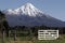 Mt Taranaki/egmont And Fence