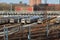MTA Coney Island train yard with several parked nyc trains and skyscrapers visible in the background