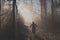 MTB or mountain biker riding up in misty forest with sun behind him. Silhouette of a mountain biker in the foggy woods, beautiful