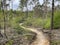 MTB route at the sallandse heuvelrug national park