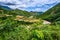 Mu Cang Chai, landscape terraced rice field near Sapa