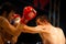 Muay Thai Boxers Left Punch Head Sweat