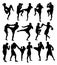 Muay Thai Or Kickboxing Silhouettes