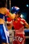Muay Thai Women Kickboxing Guard Ring