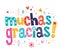 Muchas gracias many thanks in Spanish card