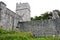 Muckross Abbey, Killarney, Ireland