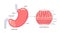 Mucous membrane structure