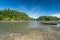 Mud Bay Low Tide Puget Sound, Olympia Washington