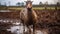 Mud Boar: Evocative Environmental Portrait In Southern Countryside