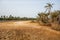 mud flats, palm trees and mangrove swamps