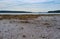 Mud flats with rocks and seaweed at Searsport Maine