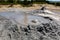 Mud geyser or mud volcano. Geological formation hydrogeological