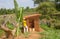 Mud house roof making