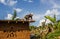 Mud house roof making