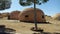 Mud houses from the Spanish era in Western Sahara