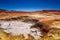 Mud pool by geyser Sol de la Manana in the Altiplano of Bolivia