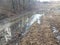 Mud puddle on trail or path in the woods with trees