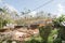 Mud slide on Puerto Rico road after Hurricane Maria