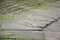 Mud streams after a heavy rain on a cornfield that destroyed part of the crop area of risk farming concept