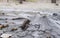 Mud Volcano with Emission of Liquid and Solid Material - Baratang island, Andaman Nicobar Islands, India