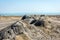 Mud volcano, Gobustan, Azerbaijan