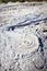 Mud volcano at Krasnodar state, Russia, close up