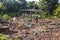 Mudbrick former standing barefoot in clay in Uganda