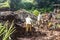 Mudbrick former standing barefoot in clay in Uganda