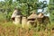 Mudbrick houses in Togo