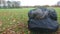 A muddy bag of footballs on a school playing field