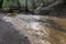 Muddy creek after storm and heavy rain, Rancho San Antonio county park, south San Francisco bay, California