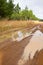 Muddy dirt road next to pine plantation