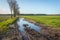 Muddy dirt road with puddles of water