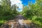 Muddy dirty road through forest with puddles