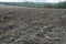 Muddy field of stubble after the harvest