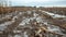 Muddy fields covered in debris with only the tops of corn stalks visible above the dark churning floodwaters