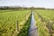 Muddy footpath in the Netherlands