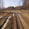 Muddy forest road