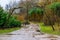 Muddy forest road on a rainy day, vintage lanterns hanging on wooden poles as decoration and lighting, landscape in the woods