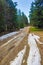 Muddy forest road Rhodope mountains Bulgaria