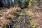 Muddy hiking trail in early spring