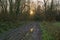 Muddy hiking trail in a winter forest with sun reflecting in a puddle