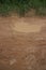 Muddy jungle road with roadside puddle and leafy vegetation on the fringe and muck below