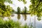 Muddy Lake Beyond Grasses and Trees