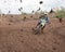 Muddy Motocross Race