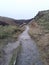 A muddy path in a hilly field