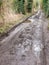 muddy pathway road through countryside tracks puddles spring