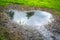 Muddy pond on a grass field in a park