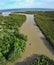 Muddy river and mangrove forest with boat